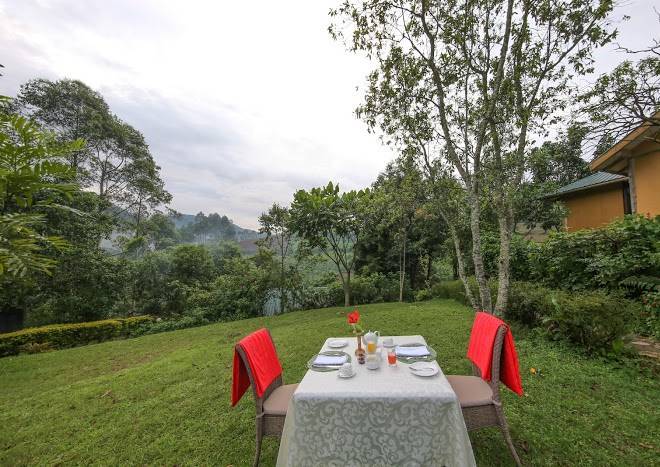 Gorilla safari lodge rushaga sector