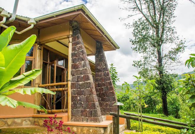 Ichumbi gorilla lodge