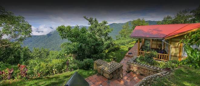 Nkuringo bwindi gorilla lodge