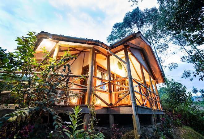 Gorilla safari lodge