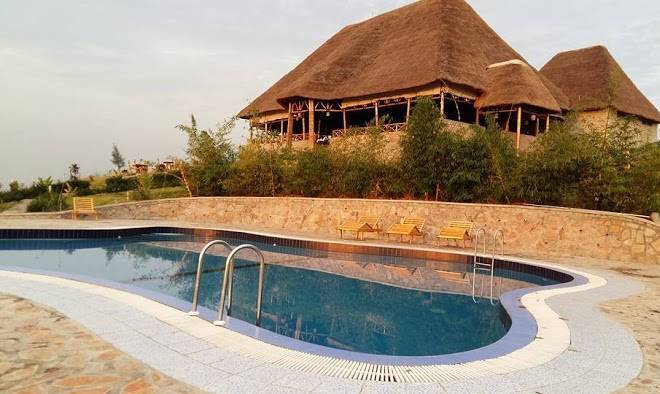 The baboon safari resort