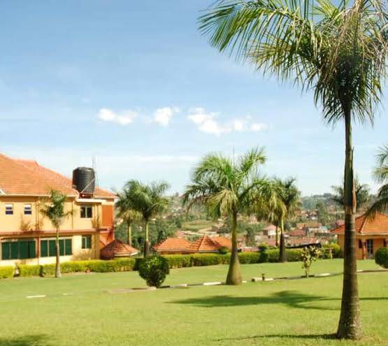 New palm royal hotel