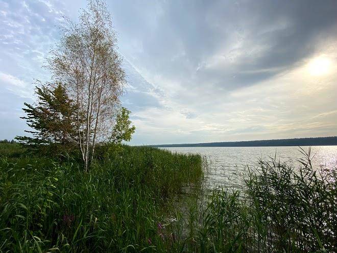 Kaniv fishclub