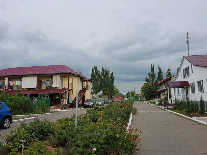 Troyanda