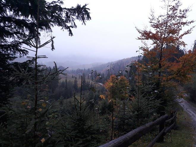 Zatyshni carpathians