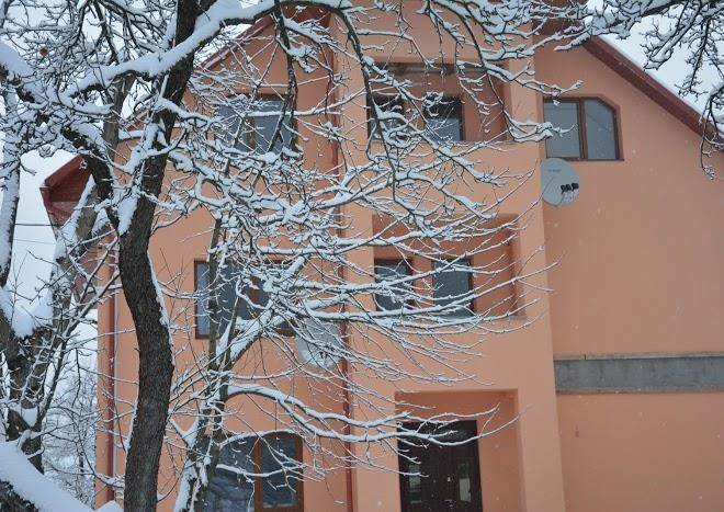 Hostynnyy dvir bukovets