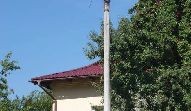 Pid lelekoyu