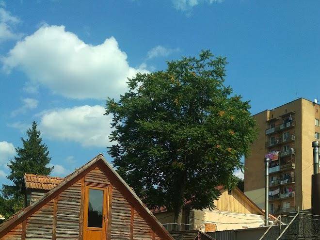 Filvarky Tsentr Image