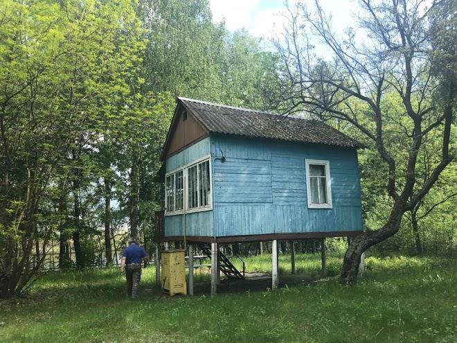 Baza vidpochynku desenka
