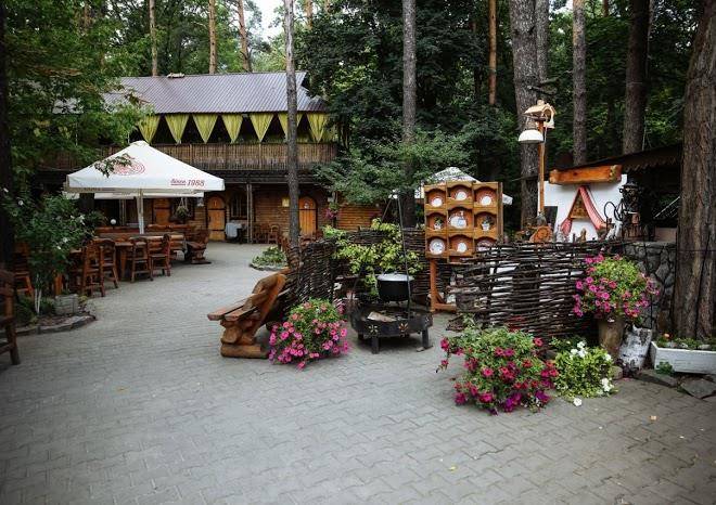 In the forest
