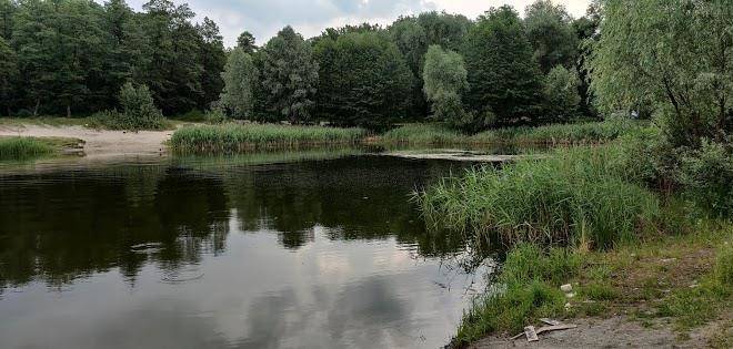 Kalynoviy Kucsh Image