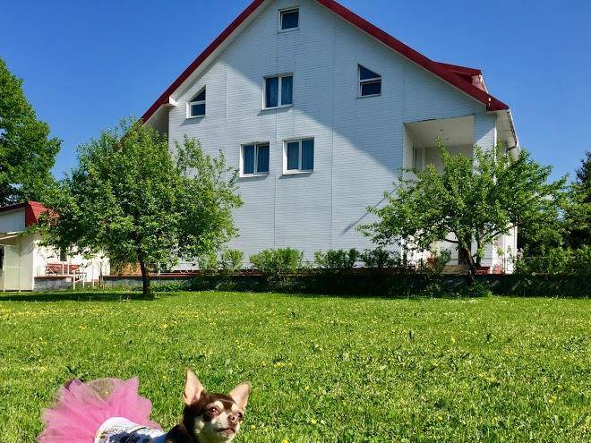 Hotel furmi