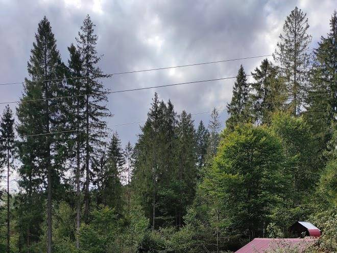 Domashniy Zatyshok Image