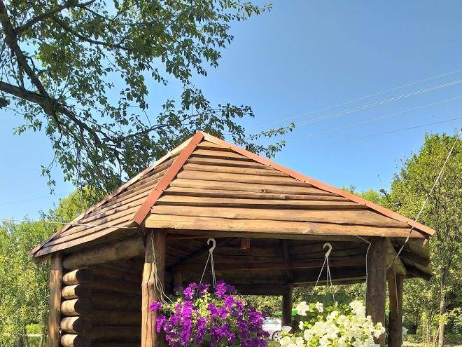 Sadyba U Pani Ruzi Image