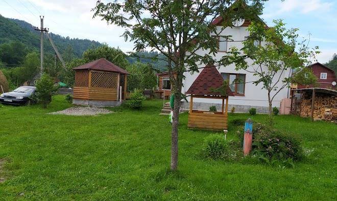 Sadyba vidpochynok v karpatakh