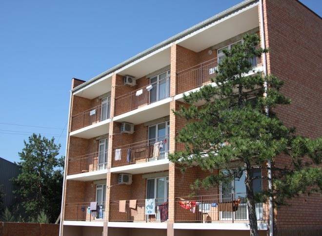 Otely palymira