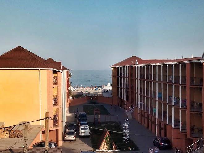 Crystal And Sakura Image