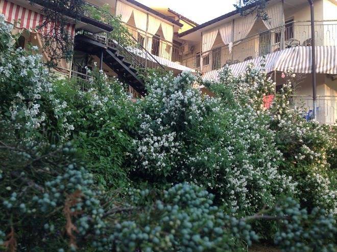 Olha I Valentina Image