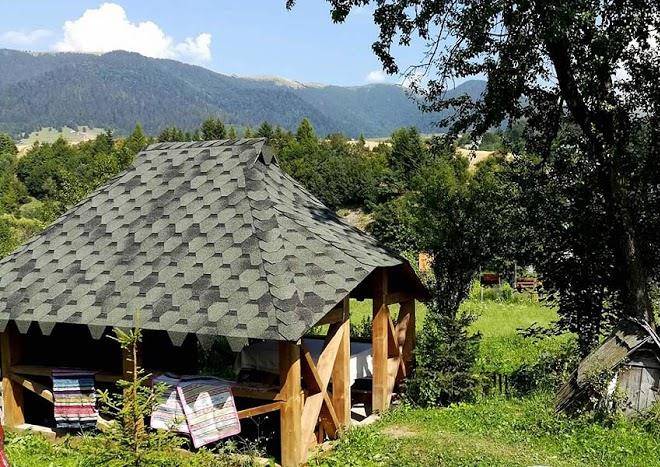 In Anastasiyky Image