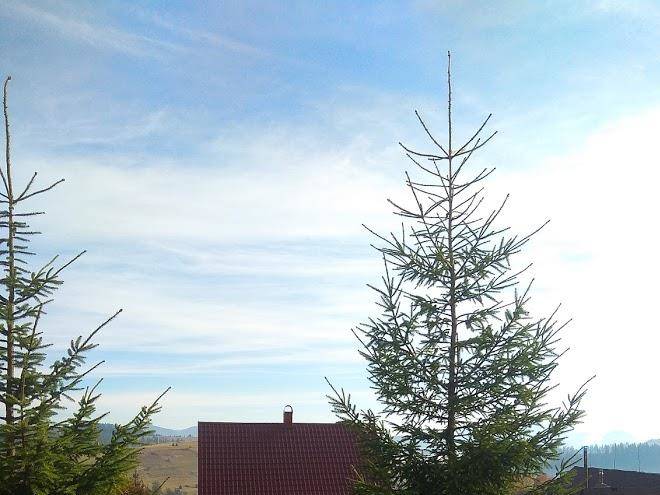 Sadyba pid horoyu podobovets