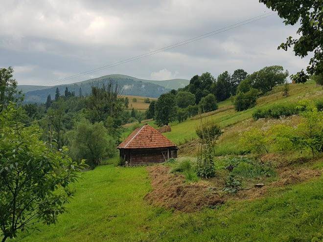 Sadyba U Volody Image