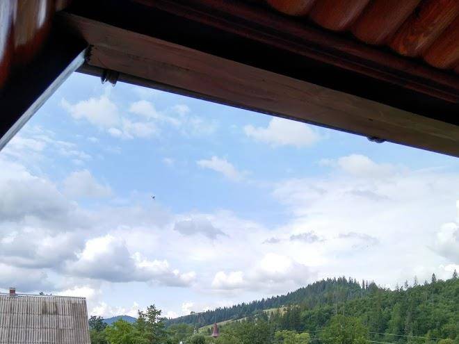 Voloskyy potik