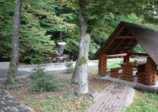 Lisovyy Budynochok U Synyaku Image