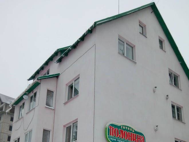 Polonyna