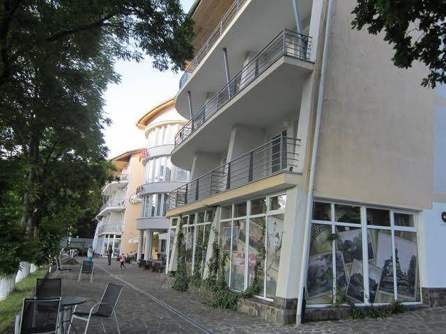 Quelle Polyana Image