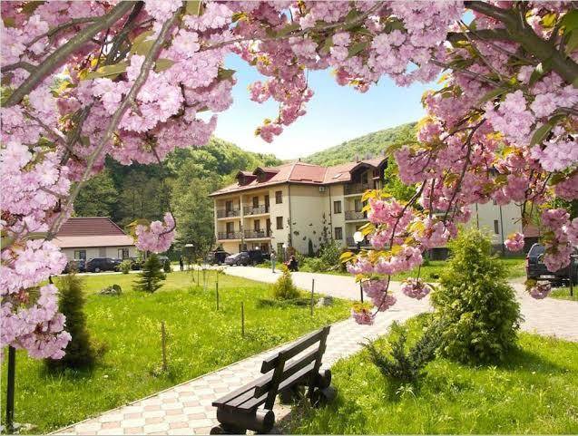 Bogolvar eco resort & spa