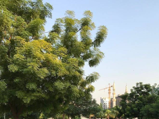 Al Jawhara Gardens Hotel Image