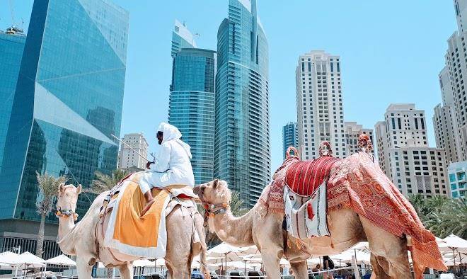 Charly holiday jbr