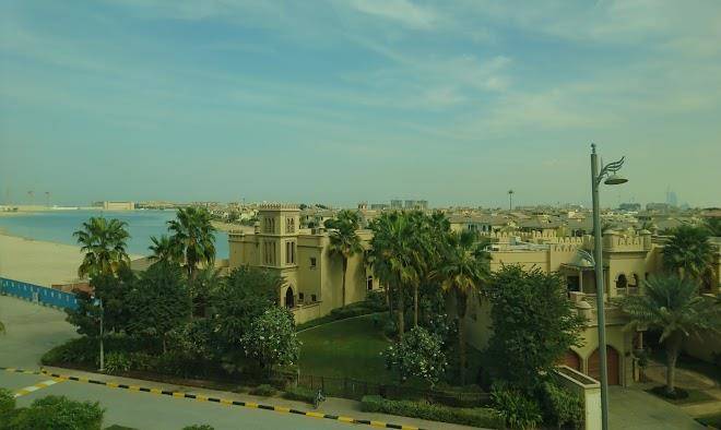 The palms