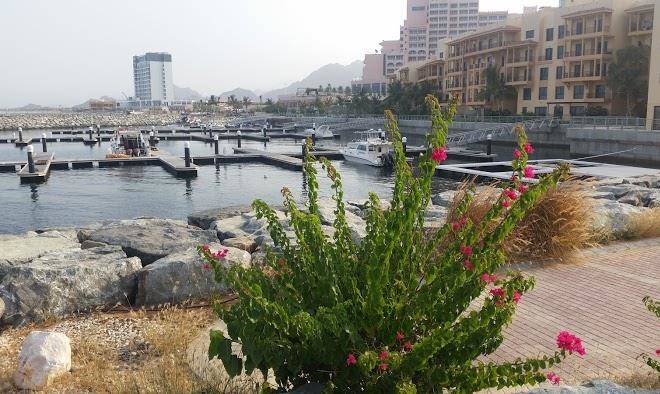 Mina al fajer resort