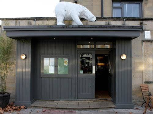 The bear