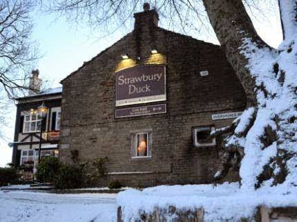 Strawbury duck