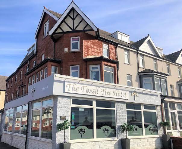 The fossil tree hotel blackpool