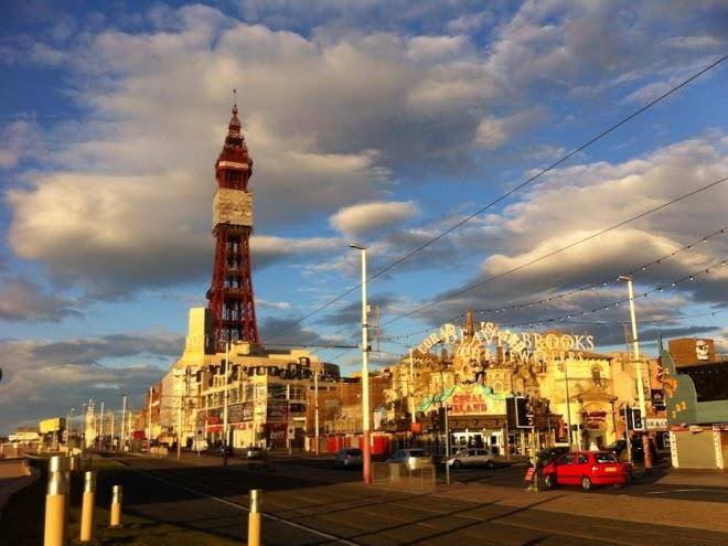 The fylde international