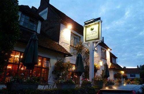 The frog inn at skirmett