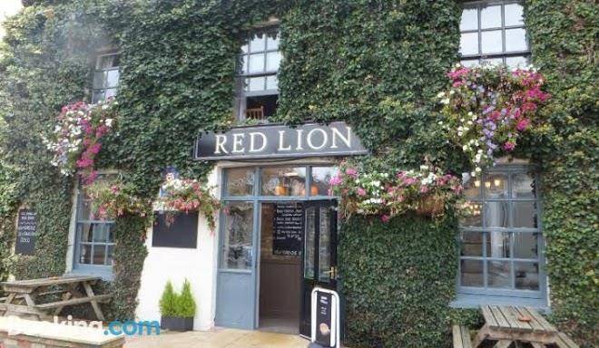 The red lion