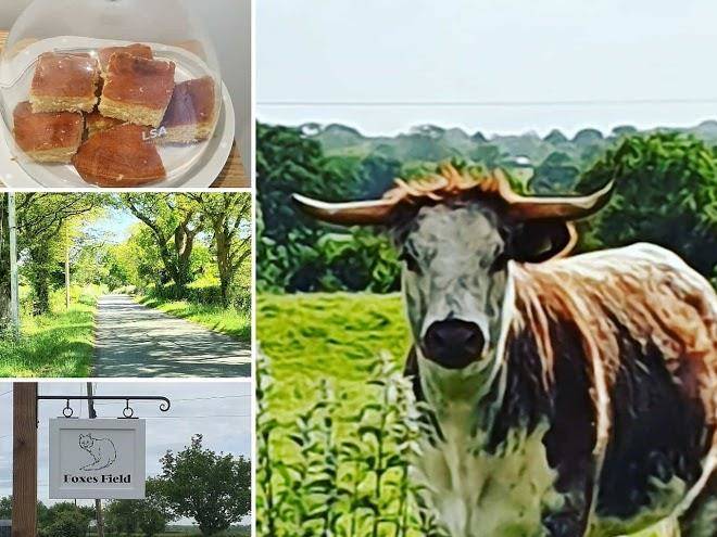 Foxes field b&b