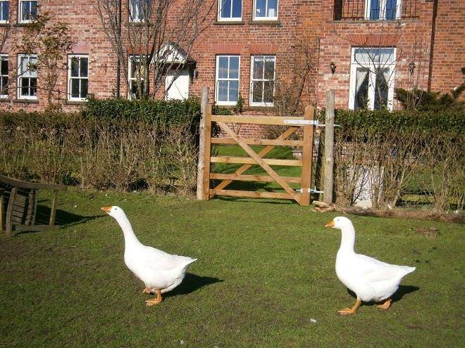 Moss farm bed and breakfast
