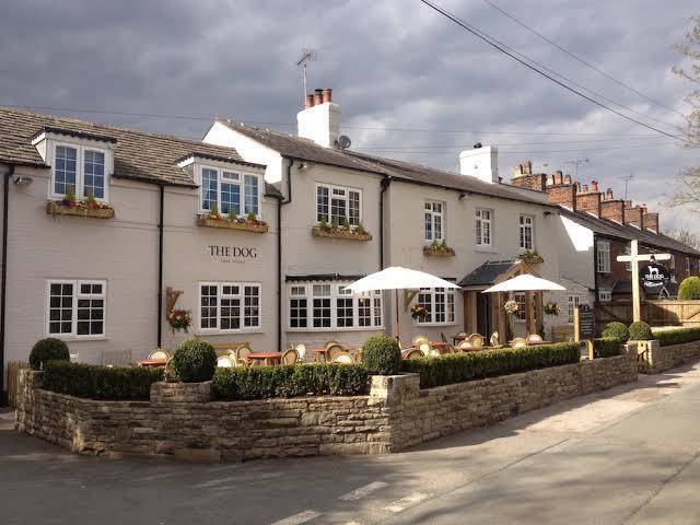 The dog at peover