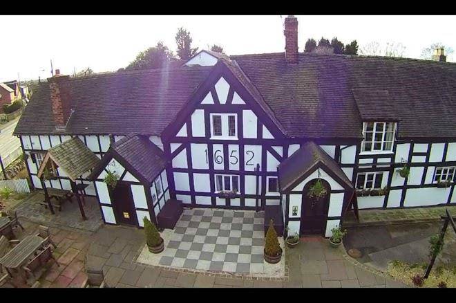 The white lion