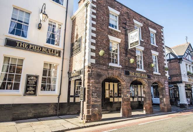 The pied bull
