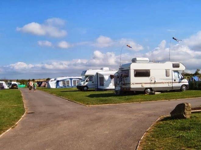 Monkey tree holiday park