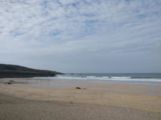 Rockfish St Ives Image