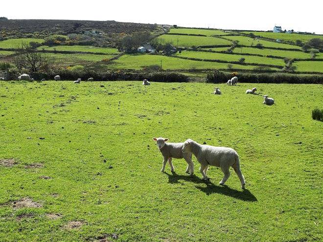 Self Catering Quality Holiday Barns Image