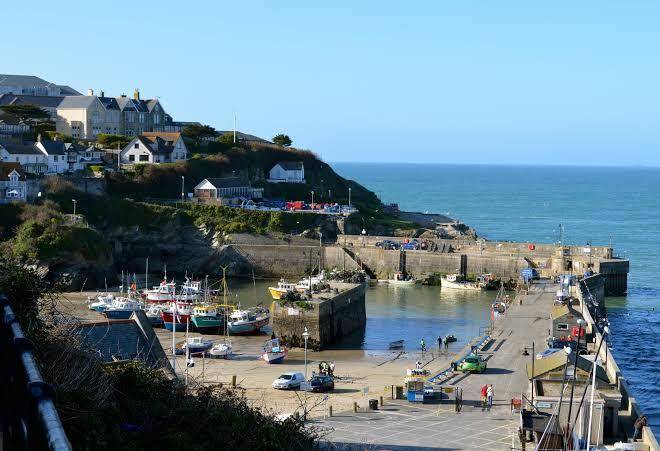 The harbour