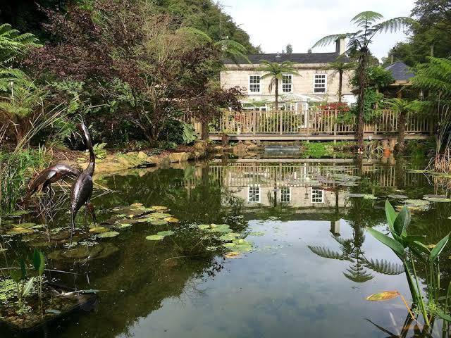 The waterwheel